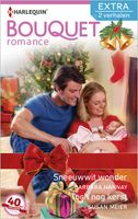 Sneeuwwit wonder ; Toch nog kerst - Barbara Hannay, Susan Meier - ebook - thumbnail