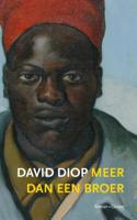 Meer dan een broer - David Diop - eBook (9789059368668)