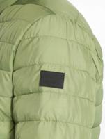 Jack & Jones / Gewatteerde jassen jjeChicago in groen