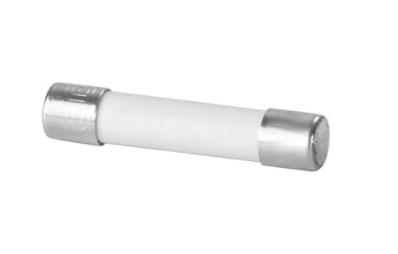 Weidmüller 0646400000 Buiszekering 0.8 A 250 V 10 stuk(s)
