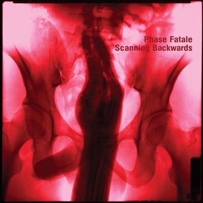 Scanning Backwards - CD (4250101412684)