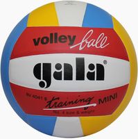 GALA Volleybal Mini Colour BV 4041S - thumbnail