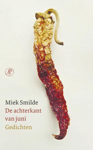 De achterkant van juni - Miek Smilde - ebook