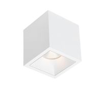 Spot BWS Daniel Aluminium 745Lm 9,2W Wit Met Witte Anti-Glare Ring