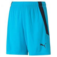 PUMA Unisex Kids Teamliga Shorts Jr Shorts