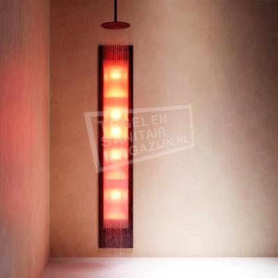 Sunshower Deluxe Black UV- en Infrarood Inbouw 32x187x16cm Full Body 2000W Aluminium