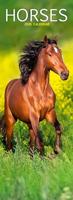 Horses Slim Calendar 2026 Horses Slimline Calendar - 12 Month