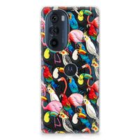 Motorola Edge 30 Pro TPU Hoesje Birds - thumbnail