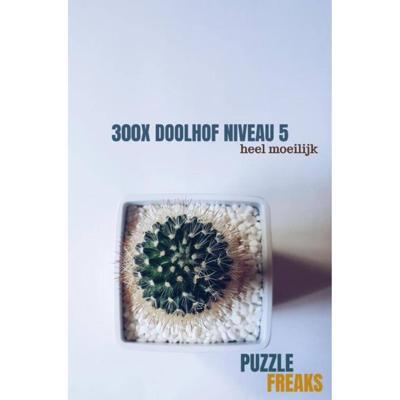 300X Doolhof Niveau 5 - (ISBN:9789464189018)
