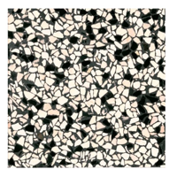 Terre d´Azur Granito terrazzo vloertegel pisa 40x40 gerectificeerd