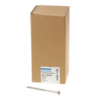 Spaanpl.schr.rvs pk pz3 6.0X100/60 dd