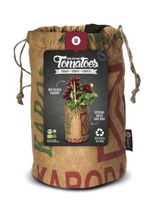 Baza Seeds & Tomatoes rags bio black cherry