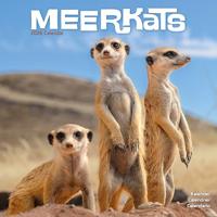 Meerkats Calendar 2026 Square Wildlife Safari Wall Calendar - 16 Month
