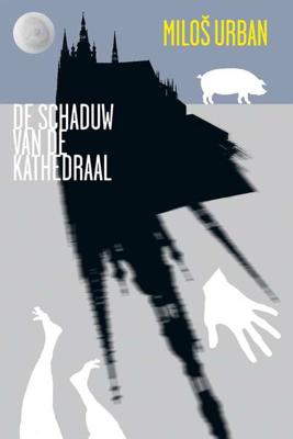 De schaduw van de kathedraal - Milos Urban - Paperback (9789491738173)