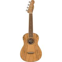 Fender California Coast Zuma Exotic concert ukelele spalted maple - thumbnail