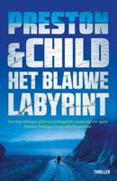 Het blauwe labyrint