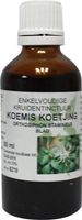 Natura Sanat Orthosiphon stamineus / koemis koetjing tinctuur (50 ml) - thumbnail