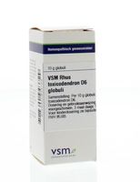 VSM Rhus toxicodendron D6 (10 gr) - thumbnail