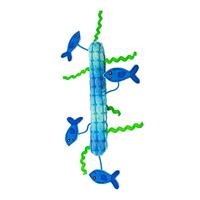 Kong Kickeroo Stickeroo Met Kreukgeluid En Catnip Blauw 26X11,5X2 CM