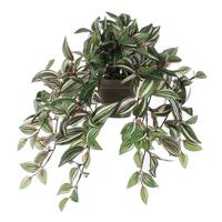 Mica Decorations Tradescantia Kunstplant - 25 x 25 x 45 cm - 2 Stuks - thumbnail