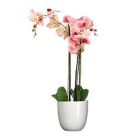 Orchidee kunstplant roze - 75 cm - inclusief bloempot wit glans - thumbnail