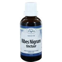 Ribes nigrum tinctuur