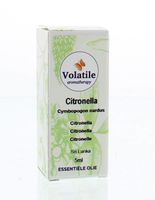 Citronella - thumbnail