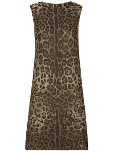 Dolce & Gabbana robe mi-longue à motif léopard - Marron