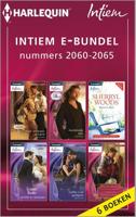 Intiem : Intiem e-bundel nummers 2060-2065 - Fiona Brand - eBook (9789461996800)