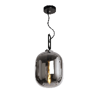 Hanglamp Larino Modern 25 cm 1 Lichts Zwart Met Fume Glas