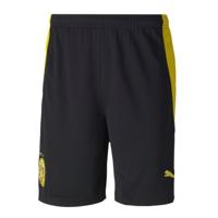 Borussia Dortmund Thuisbroekje 2020-2021