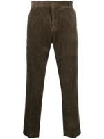 SAMSOE SAMSOE Ribfluwelen broek - Groen