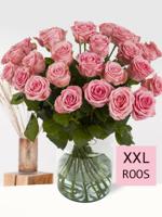 30 roze rozen XXL - Sophia Loren - thumbnail