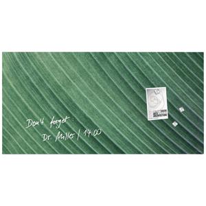 Sigel Artverum Palm Leaf GL371 Glazen magneetbord (b x h) 91 cm x 46 cm Groen