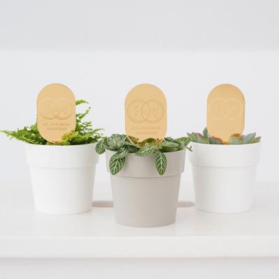 Plantenprikker met ringen en initialen Plantenprikker met ringen en initialen