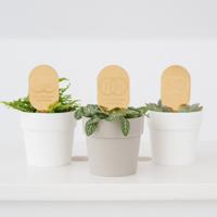 Plantenprikker met ringen en initialen