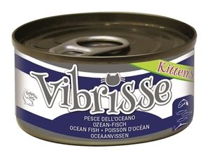 Vibrisse Vibrisse kittens cat oceaanvis