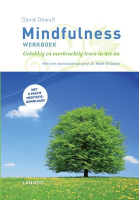 Mindfulness - David Dewulf - eBook (9789401462846)
