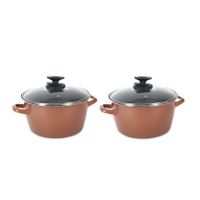 Set van 2x stuks rvs rose kookpan/pan met glazen deksel 20 cm 7 liter