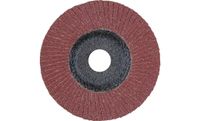 PFERD 67606125 A Sg Steelox Lamellenschijf Diameter 125 mm Boordiameter 22.23 mm 10 stuk(s) - thumbnail