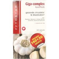 Giga complex knoflook