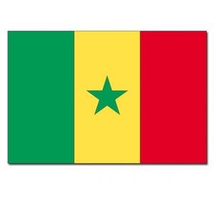 Vlag Senegal 90 x 150 cm feestartikelen