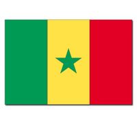 Vlag Senegal 90 x 150 cm feestartikelen