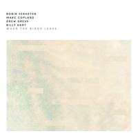 When The Birds Leave - LP (0602567077015)