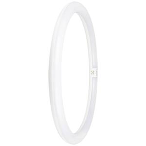 OSRAM LED-Ring Energielabel: E (A - G) G10q 24 W = 40 W Neutraalwit 1 stuk(s) (Ø x l) 400 mm x 400 mm