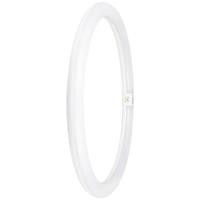 OSRAM LED-Ring Energielabel: E (A - G) G10q 24 W = 40 W Neutraalwit 1 stuk(s) (Ø x l) 400 mm x 400 mm - thumbnail