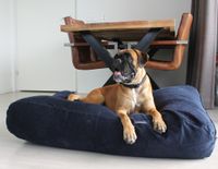 Dog's Companion® Hondenbed donkerblauw ribcord superlarge - thumbnail