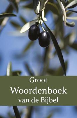 Groot Woordenboek van de Bijbel A-H - F.J. Domela Nieuwenhuis, P.J. Veth, W. Moll - Paperback (9789057195563)