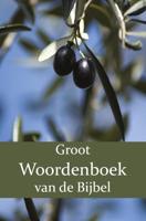 Groot Woordenboek van de Bijbel A-H - F.J. Domela Nieuwenhuis, P.J. Veth, W. Moll - Paperback (9789057195563)