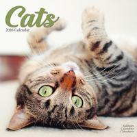 Cats Calendar 2026 Square Cat Wall Calendar - 16 Month